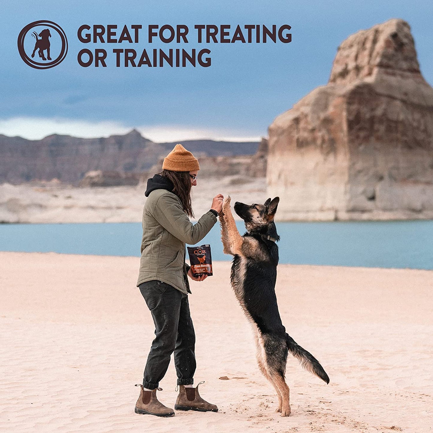 Wellness CORE Pure Rewards, Grain-Free Tender Jerky Treats, Made in USA (Turkey Recipe, 4-Ounce Bag)
