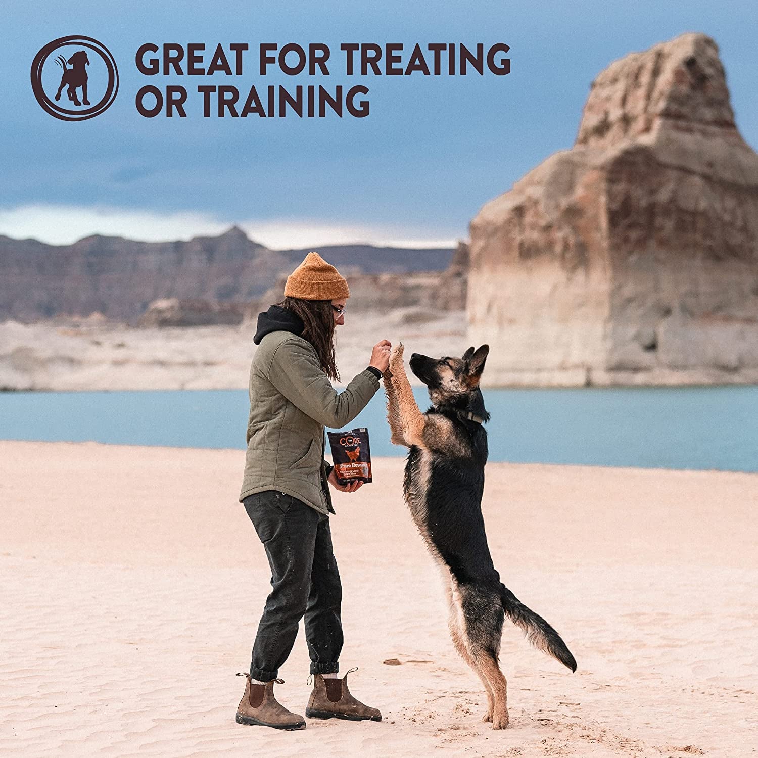 Wellness CORE Pure Rewards, Grain-Free Tender Jerky Treats, Made in USA (Turkey Recipe, 4-Ounce Bag)