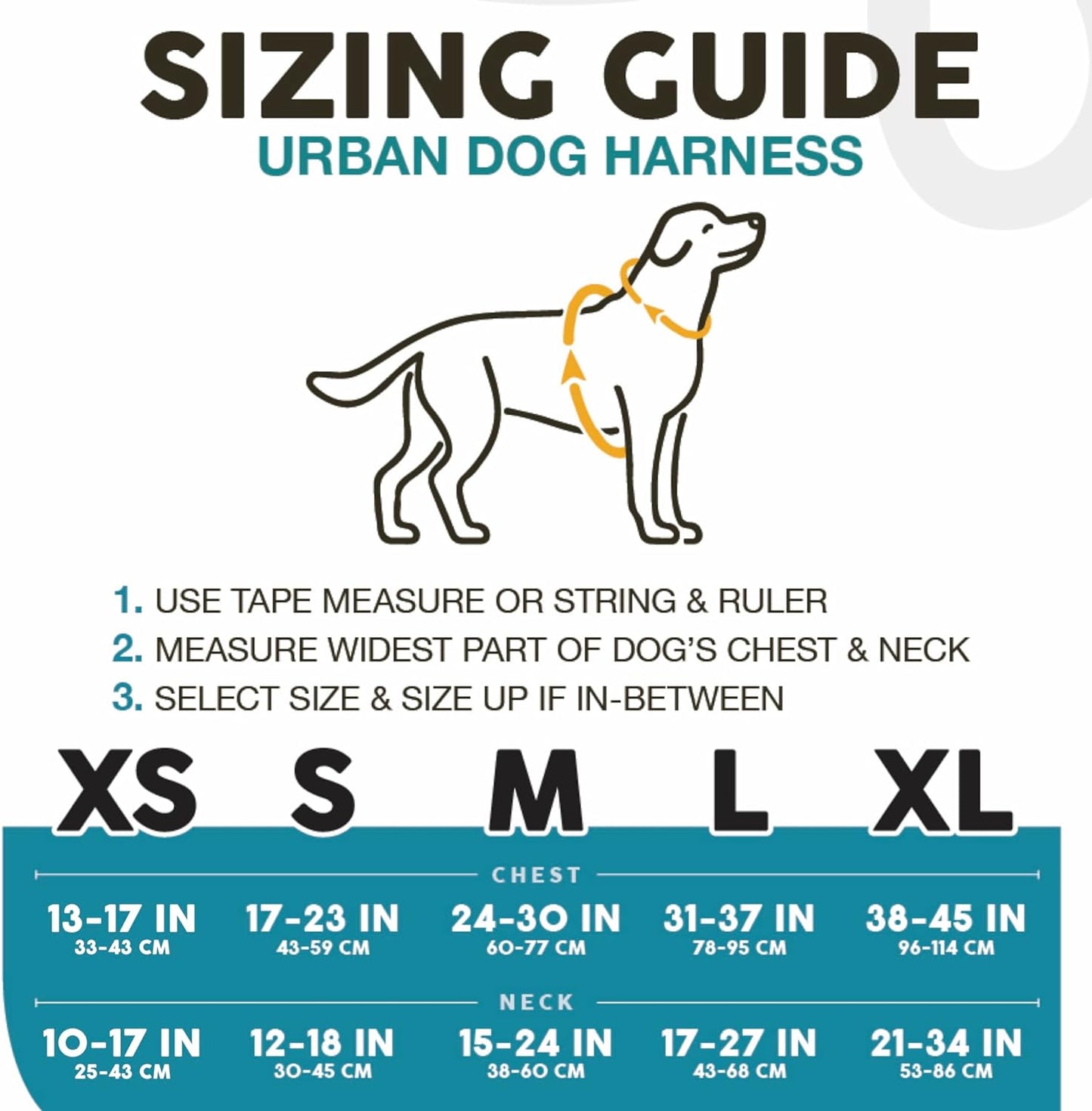 Embark Urban Dog Harness No-Pull Dog Harness for Small Dogs, Medium & Large. 2 Leash Clips, Front & Back with Control Handle, Adjustable Black Dog Vest for Any Breed, Soft & Padded for Comfort