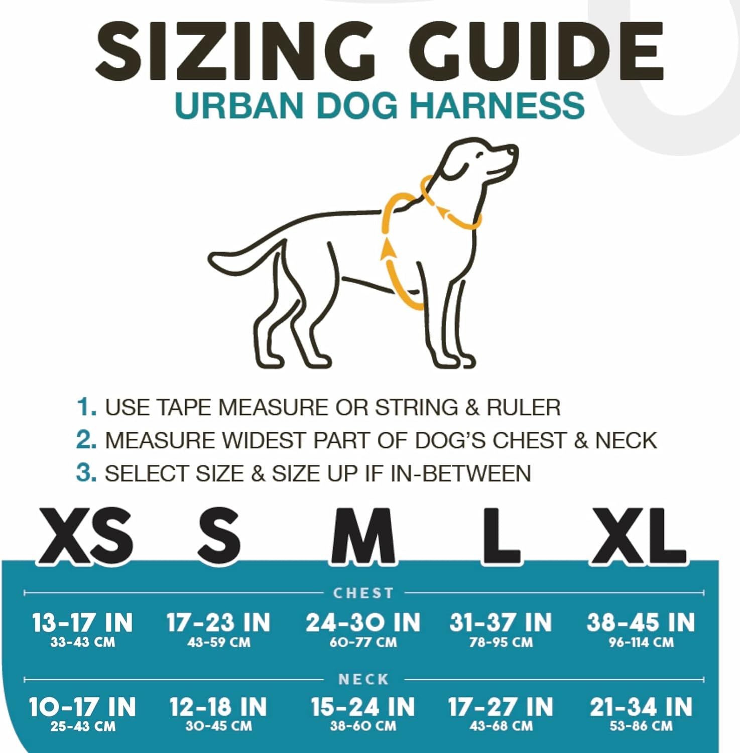 Embark Urban Dog Harness No-Pull Dog Harness for Small Dogs, Medium & Large. 2 Leash Clips, Front & Back with Control Handle, Adjustable Black Dog Vest for Any Breed, Soft & Padded for Comfort