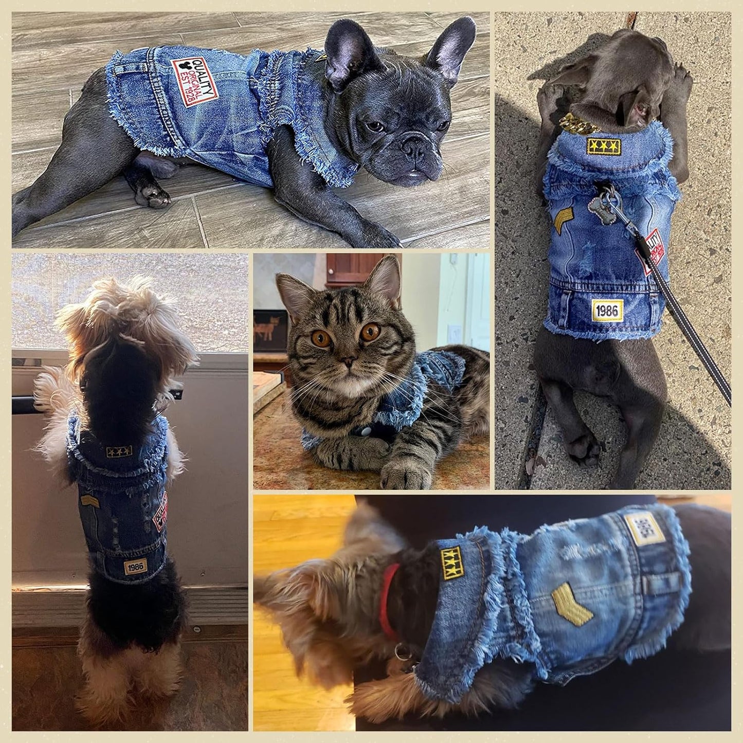 Cool Blue Dog Jean Jacket Small Pet Outfits Dog Clothes for Small Medium Dogs Cats Boys Girls Pet Vest Denim Coats Puppy Shirts Doggy Costume Clothing for Shih Tzu Chihuahua Yorkie Teacup