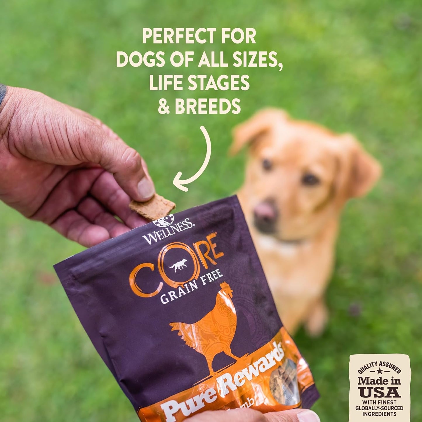 Wellness CORE Pure Rewards, Grain-Free Tender Jerky Treats, Made in USA (Turkey Recipe, 4-Ounce Bag)