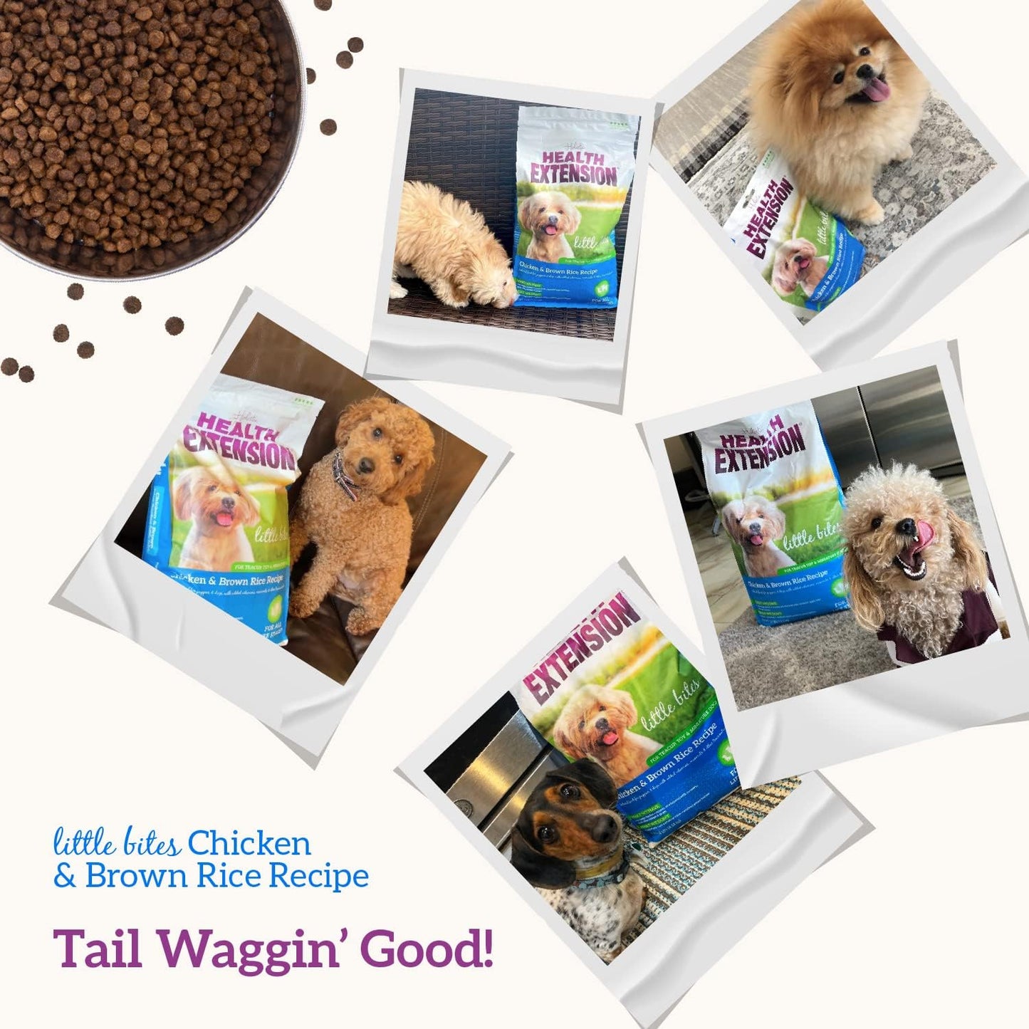 Little Bites Dry Dog Food, Natural Food with Added Vitamins & Minerals, Suitable for Teacup, Toy & Small Dogs, Chicken & Brown Rice Recipe (4 Pound / 1.8 Kg)