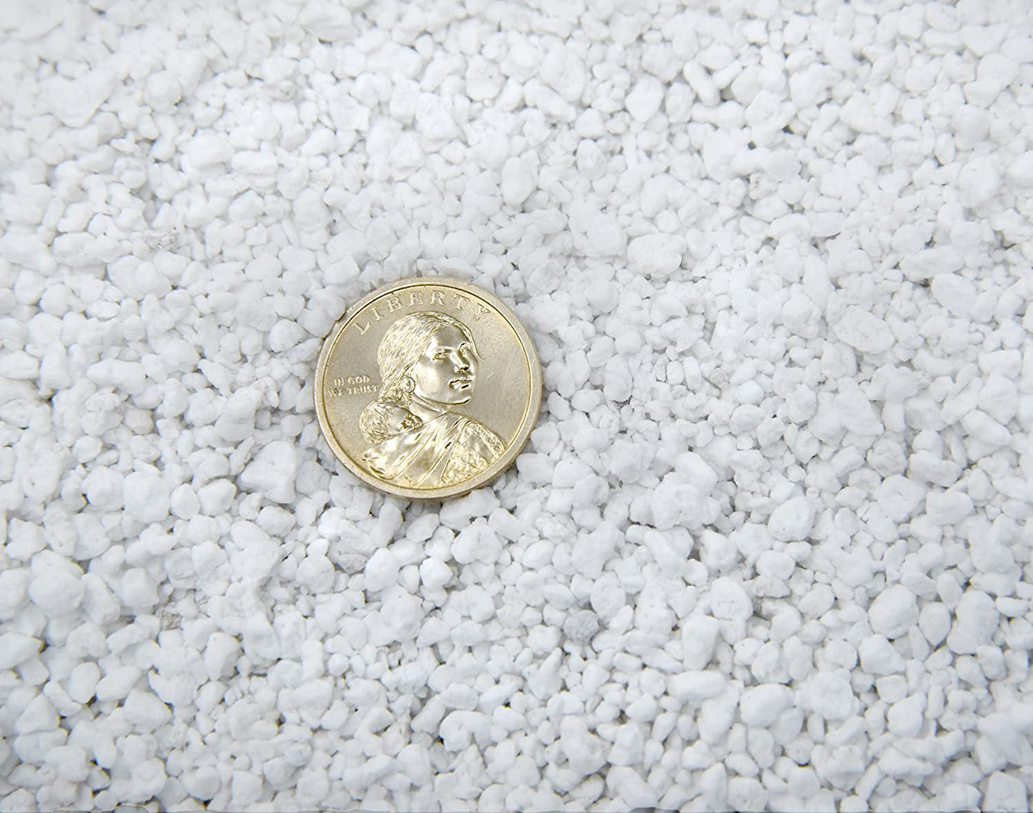 Organic Perlite by  — Add to Soil for Indoor & Outdoor Container Plants for Drainage Management and Enhanced Growth (8Qts.)