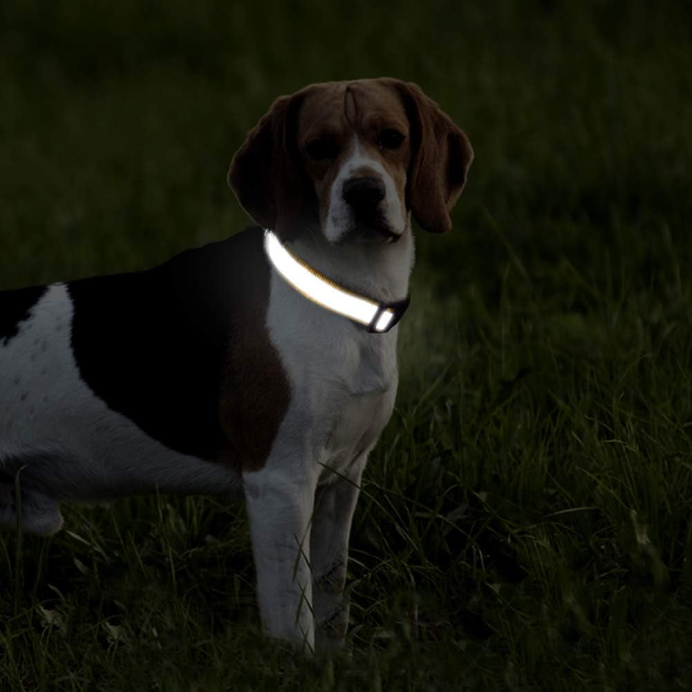 Full Reflective Dog Collar, Adjustable Nylon Dog Collars with Quick Safety Buckle for Small Dogs, Yellow S