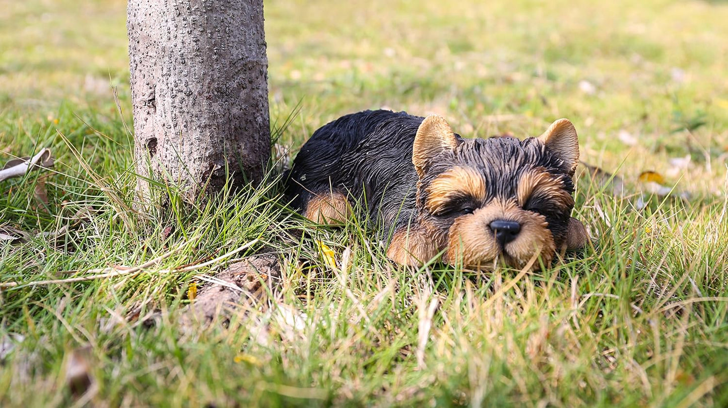 87710-M Yorkshire Terrier Puppy Sleeping Pet Pals Statue, Black