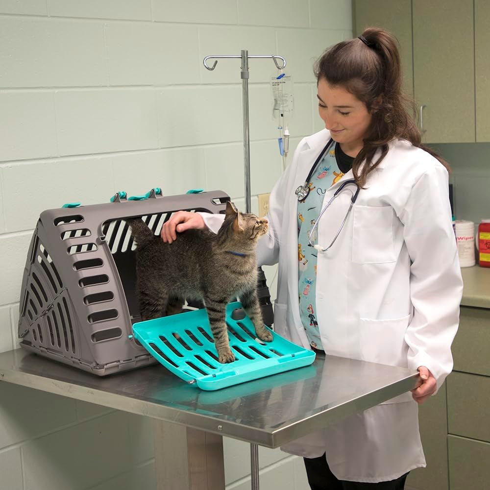Designs Foldable Travel Cat Carrier - Front Door Plastic Collapsible Carrier Collection, Waterproof Bed