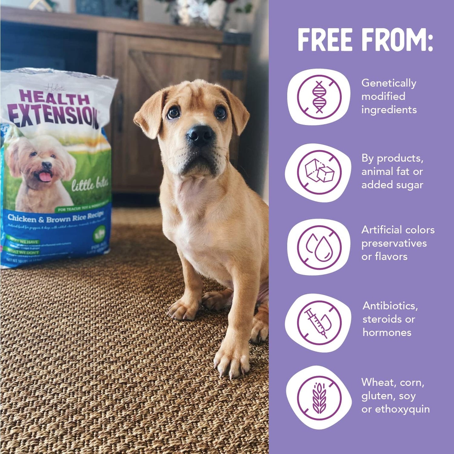 Little Bites Dry Dog Food, Natural Food with Added Vitamins & Minerals, Suitable for Teacup, Toy & Small Dogs, Chicken & Brown Rice Recipe (4 Pound / 1.8 Kg)