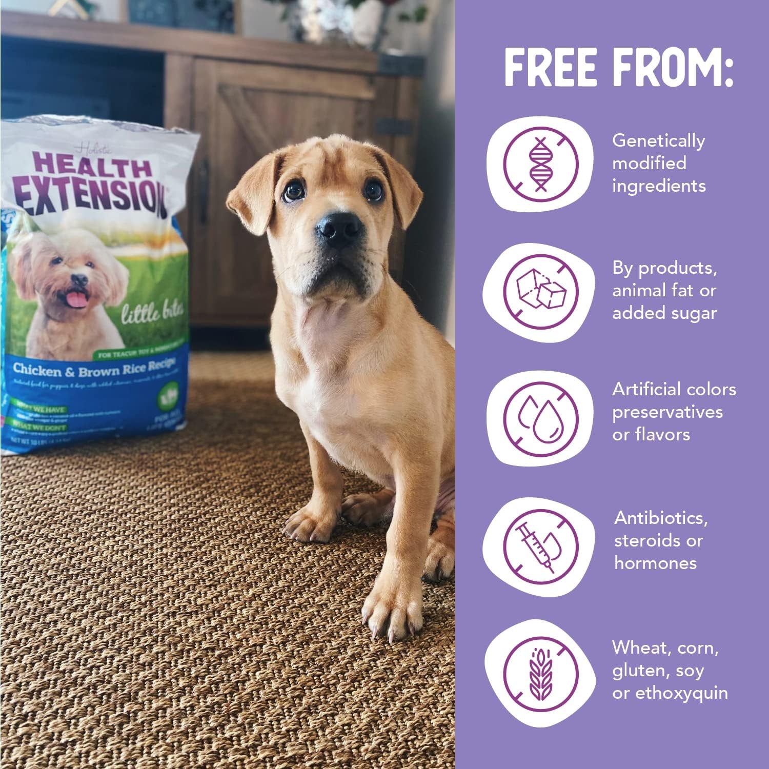 Little Bites Dry Dog Food, Natural Food with Added Vitamins & Minerals, Suitable for Teacup, Toy & Small Dogs, Chicken & Brown Rice Recipe (4 Pound / 1.8 Kg)