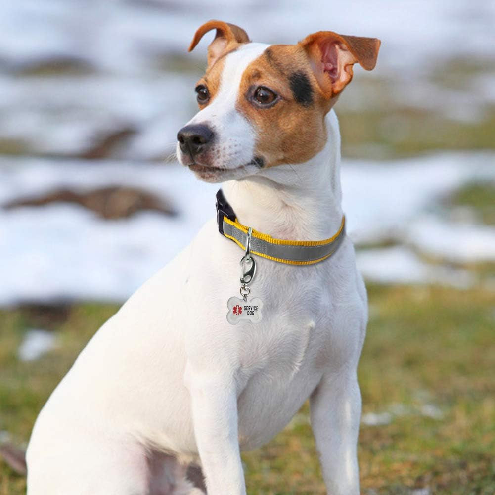 Full Reflective Dog Collar, Adjustable Nylon Dog Collars with Quick Safety Buckle for Small Dogs, Yellow S