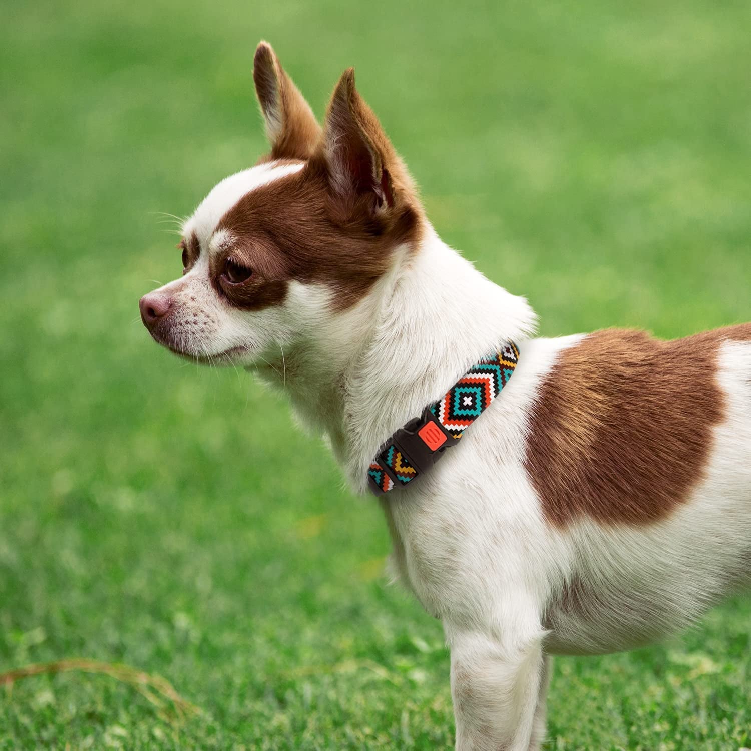 Purple Geometric Dog Collar, Pet Collar for Small Medium Large Dogs or Puppies with Quick Release Buckle, Yellow Orange Pattern, Adjustable Nylon (Teal, Neck Fit 10"-13")