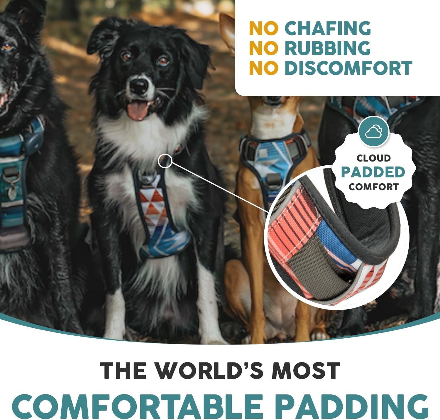 Embark Urban Dog Harness No-Pull Dog Harness for Small Dogs, Medium & Large. 2 Leash Clips, Front & Back with Control Handle, Adjustable Black Dog Vest for Any Breed, Soft & Padded for Comfort