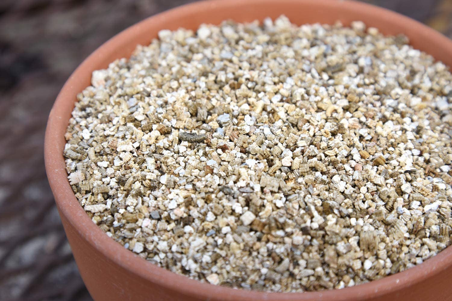 Organic Vermiculite by  - 8 Dry Quarts Natural Medium Grade Soil Additive for Potted Plants