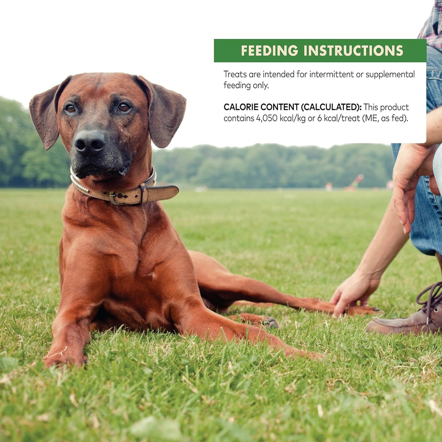 Wellness CORE Pure Rewards, Grain-Free Tender Jerky Treats, Made in USA (Turkey Recipe, 4-Ounce Bag)