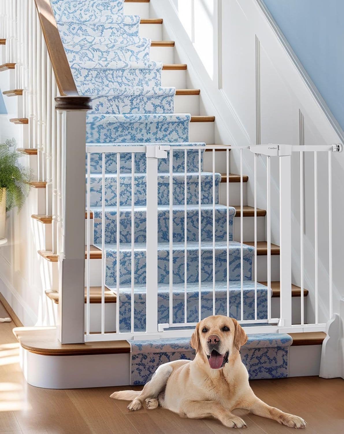 29.7"-51.5" Baby Gate Extra Wide, Safety Dog Gate for Stairs, Easy Walk Thru Auto Close Pet Gates for the House, Doorways, Child Gate Includes 4 Wall Cups,White, Mom'S Choice Awards Winner