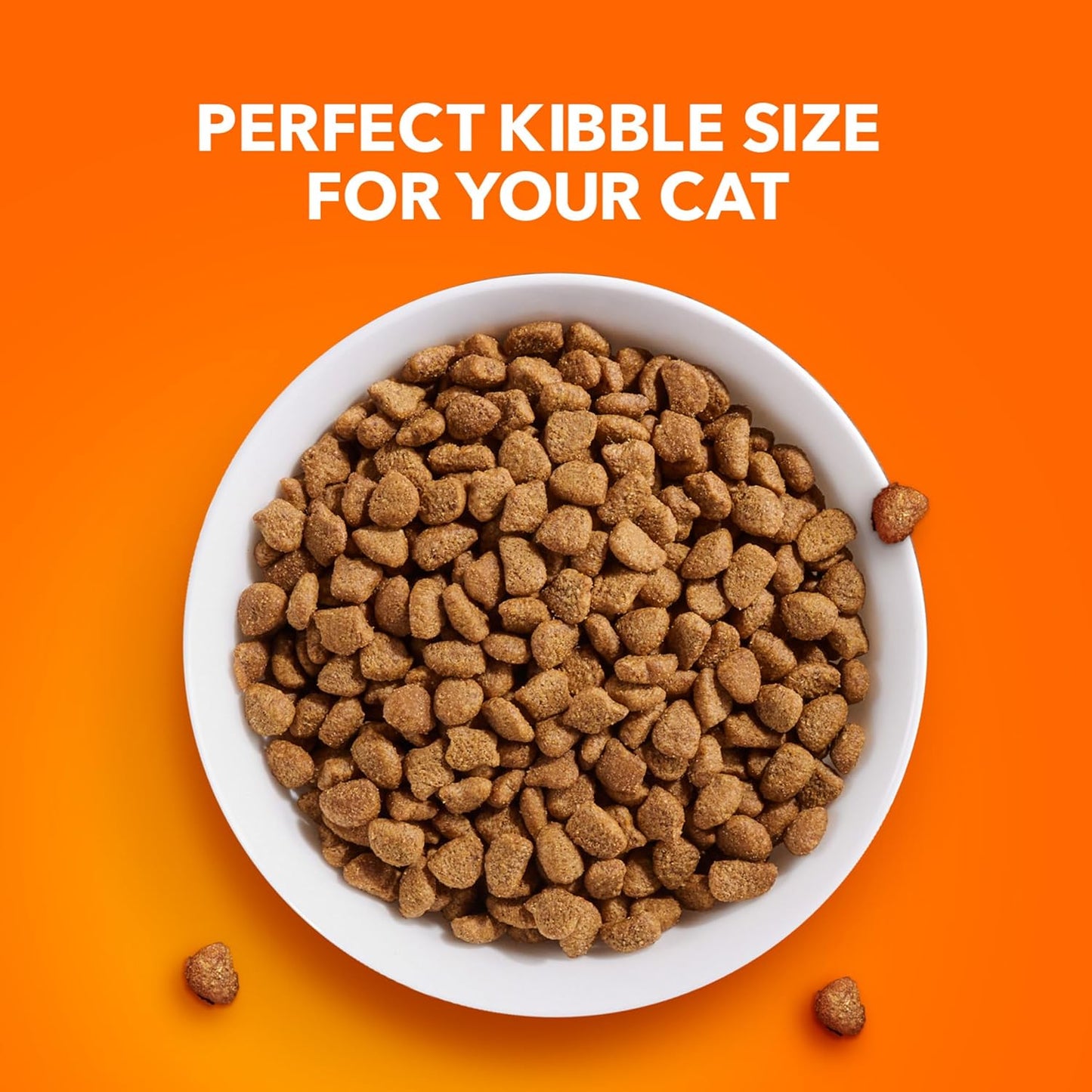 PROACTIVE HEALTH Adult Hairball Care Dry Cat Food with Chicken and Salmon Cat Kibble, 3.5 Lb. Bag