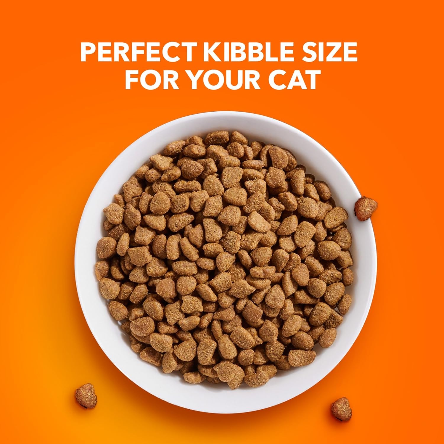PROACTIVE HEALTH Adult Hairball Care Dry Cat Food with Chicken and Salmon Cat Kibble, 3.5 Lb. Bag